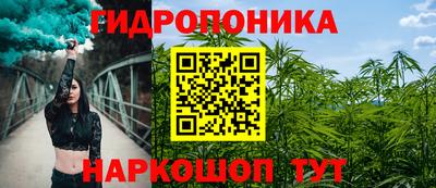 сатива Аргун