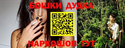 сатива Аргун