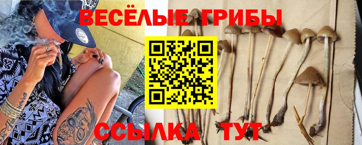 МЕФ кристаллы  Гашиш  ГАШИШ  Лсд 25  Вход с VPN  Артём  COCAIN 