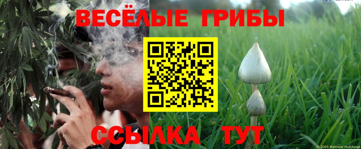 ГАШИШ Артём
